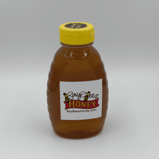 BayBeez Honey, 16 Ounces in Squeezable Jar with Flip-top Lid